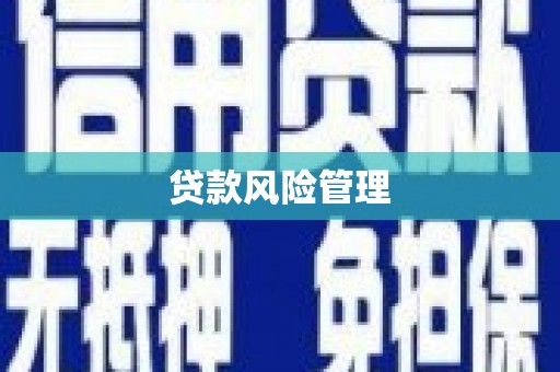 石鼓贷款风险管理