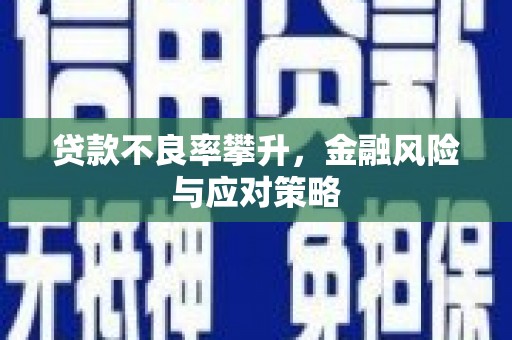 石鼓贷款不良率攀升，金融风险与应对策略