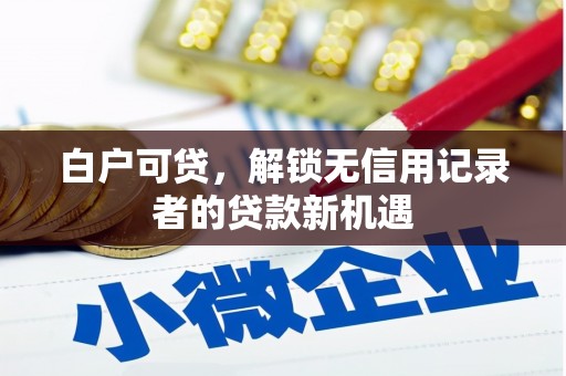 石鼓白户可贷，解锁无信用记录者的贷款新机遇