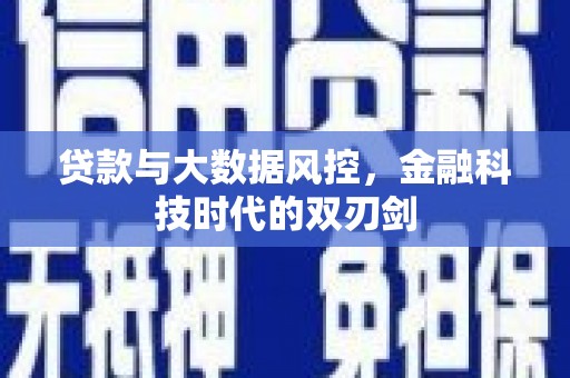 石鼓贷款与大数据风控，金融科技时代的双刃剑