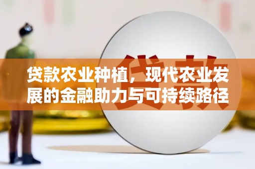 石鼓贷款农业种植，现代农业发展的金融助力与可持续路径