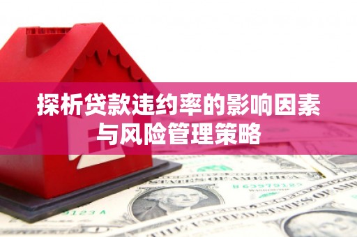 石鼓探析贷款违约率的影响因素与风险管理策略