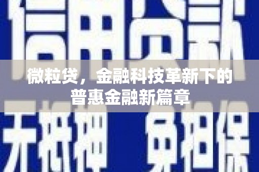 石鼓微粒贷，金融科技革新下的普惠金融新篇章