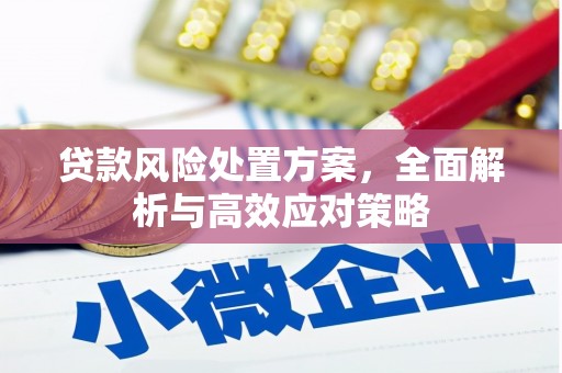 石鼓贷款风险处置方案，全面解析与高效应对策略