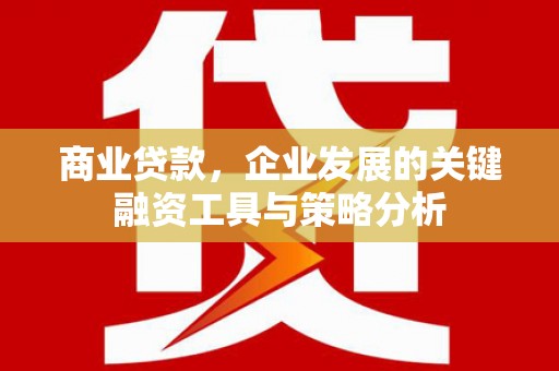 石鼓商业贷款，企业发展的关键融资工具与策略分析
