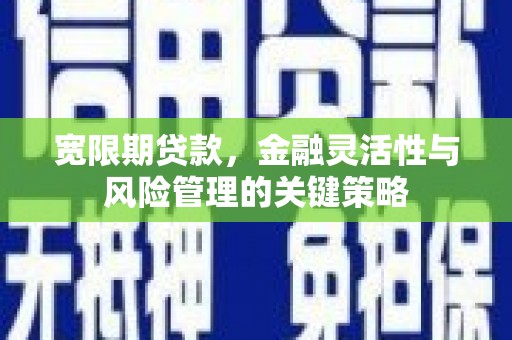 石鼓宽限期贷款，金融灵活性与风险管理的关键策略