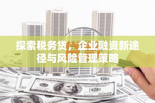 石鼓探索税务贷，企业融资新途径与风险管理策略