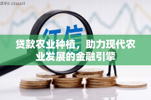 石鼓贷款农业种植，助力现代农业发展的金融引擎