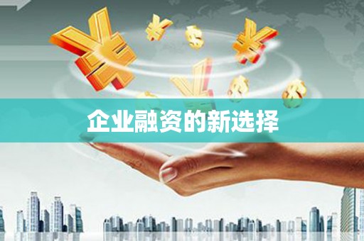 石鼓企业融资的新选择