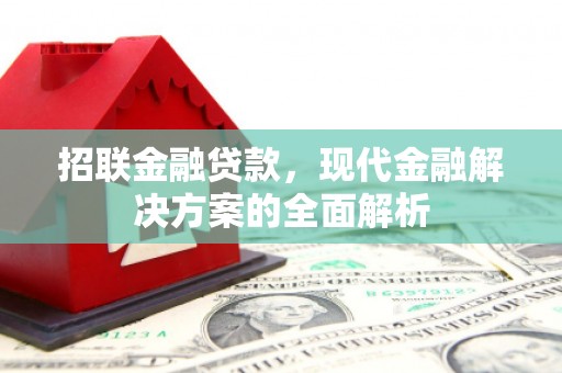 石鼓招联金融贷款，现代金融解决方案的全面解析