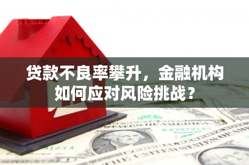 石鼓贷款不良率攀升，金融机构如何应对风险挑战？