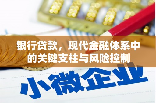 石鼓银行贷款，现代金融体系中的关键支柱与风险控制