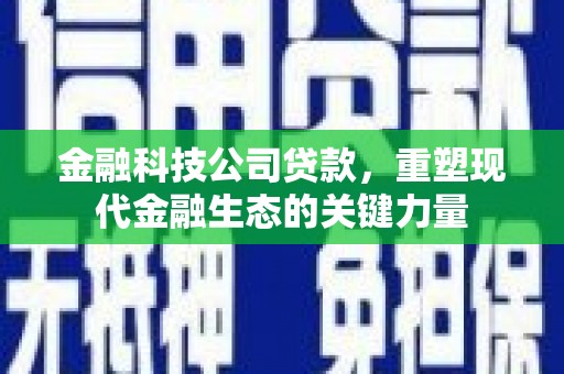石鼓金融科技公司贷款，重塑现代金融生态的关键力量