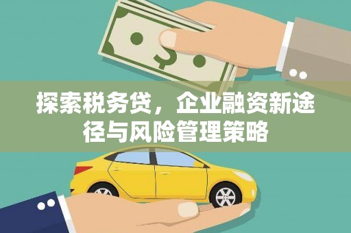 石鼓探索税务贷，企业融资新途径与风险管理策略