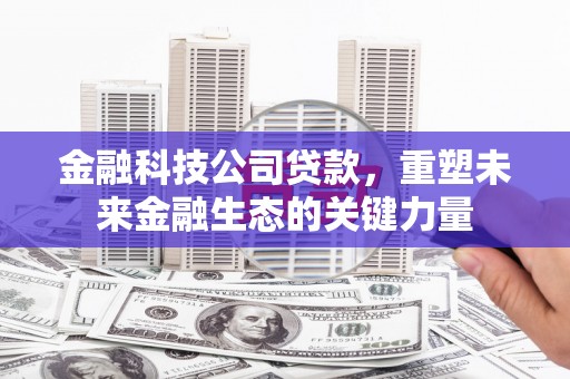 石鼓金融科技公司贷款，重塑未来金融生态的关键力量