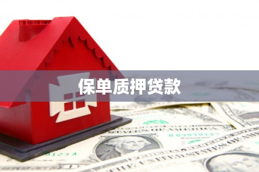 石鼓保单质押贷款