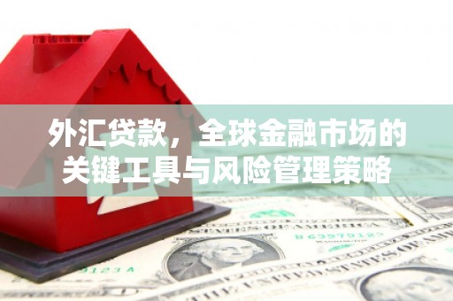 石鼓外汇贷款，全球金融市场的关键工具与风险管理策略