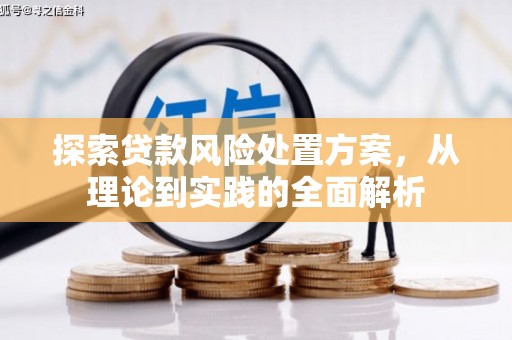 石鼓探索贷款风险处置方案，从理论到实践的全面解析