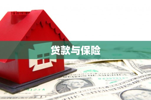 石鼓贷款与保险