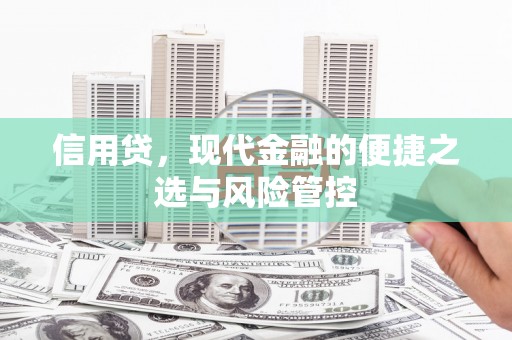 石鼓信用贷，现代金融的便捷之选与风险管控