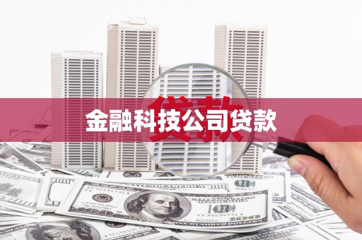 石鼓金融科技公司贷款