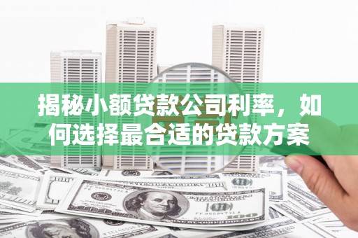 石鼓揭秘小额贷款公司利率，如何选择最合适的贷款方案