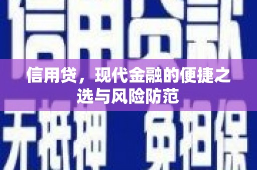 石鼓信用贷，现代金融的便捷之选与风险防范