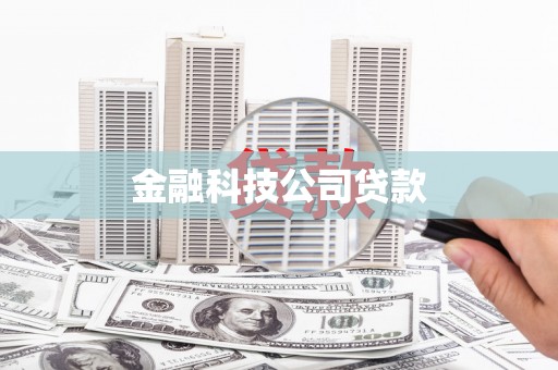 石鼓金融科技公司贷款