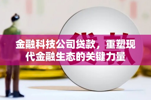 石鼓金融科技公司贷款，重塑现代金融生态的关键力量