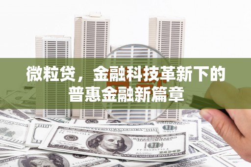 石鼓微粒贷，金融科技革新下的普惠金融新篇章
