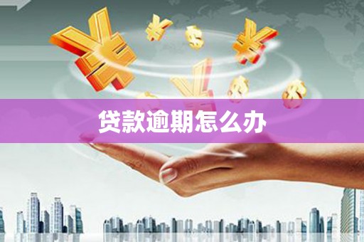 石鼓贷款逾期怎么办