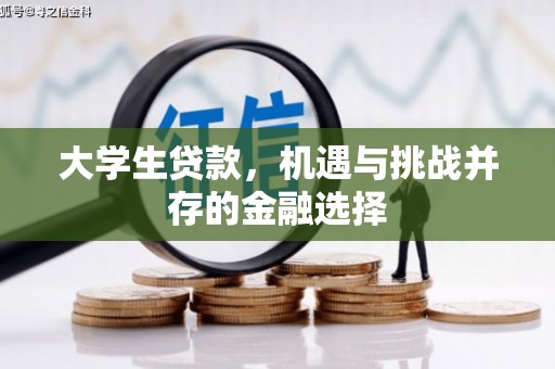 石鼓大学生贷款，机遇与挑战并存的金融选择