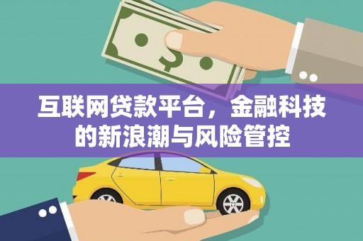 石鼓互联网贷款平台，金融科技的新浪潮与风险管控