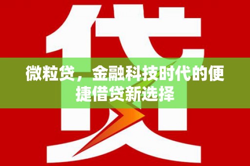 石鼓微粒贷，金融科技时代的便捷借贷新选择