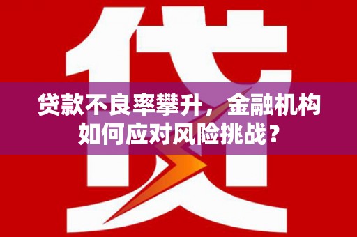 石鼓贷款不良率攀升，金融机构如何应对风险挑战？