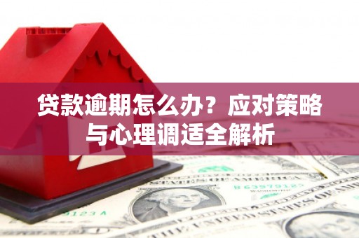 石鼓贷款逾期怎么办？应对策略与心理调适全解析