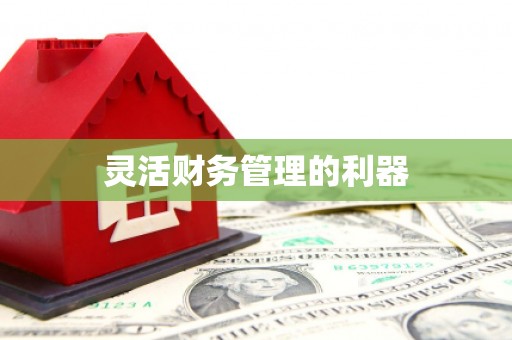 石鼓灵活财务管理的利器
