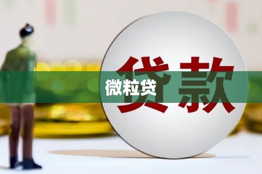 石鼓微粒贷