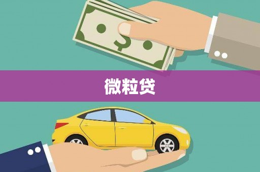 石鼓微粒贷