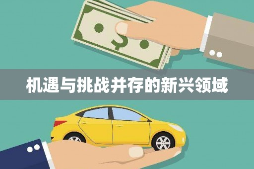 石鼓机遇与挑战并存的新兴领域