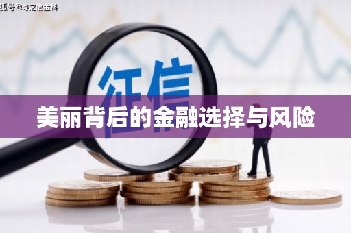 石鼓美丽背后的金融选择与风险