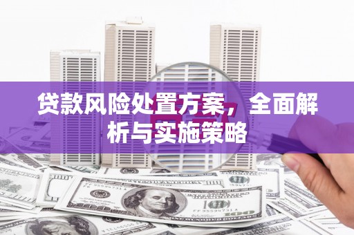 石鼓贷款风险处置方案，全面解析与实施策略