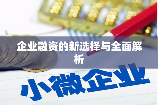 石鼓企业融资的新选择与全面解析