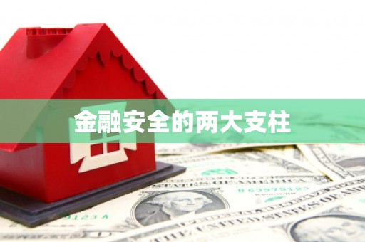 石鼓金融安全的两大支柱