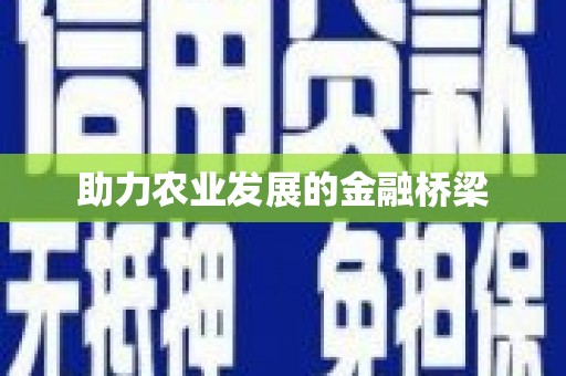 石鼓助力农业发展的金融桥梁