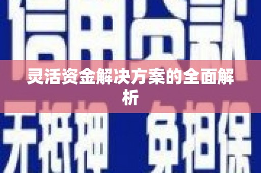 石鼓灵活资金解决方案的全面解析