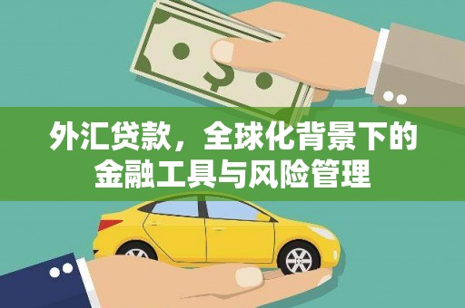 石鼓外汇贷款，全球化背景下的金融工具与风险管理