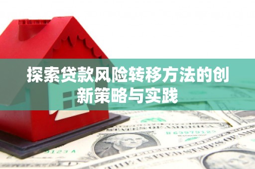 石鼓探索贷款风险转移方法的创新策略与实践