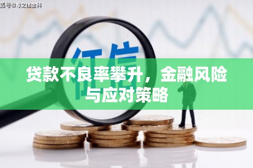 石鼓贷款不良率攀升，金融风险与应对策略
