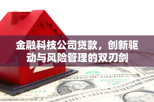 石鼓金融科技公司贷款，创新驱动与风险管理的双刃剑